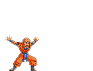 krillin1.gif (8980 bytes)