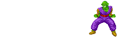 piccolo1.gif (33115 bytes)