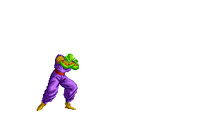 piccolo3.gif (47063 bytes)