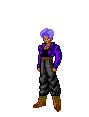 trunks1.gif (14129 bytes)